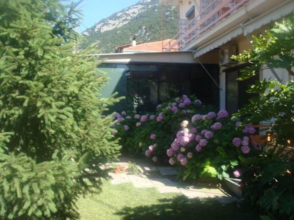 Dimitra Hotel Камена-Вурла Экстерьер фото